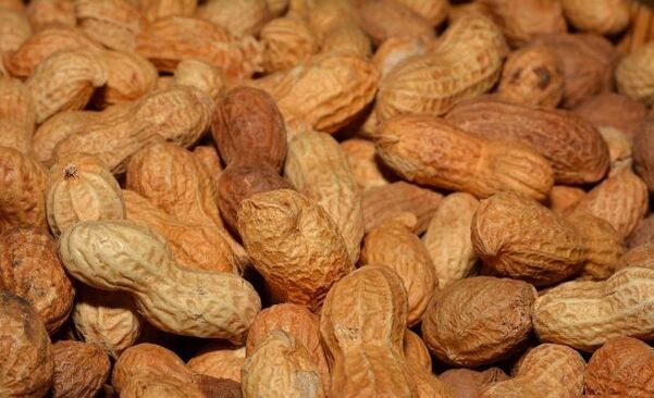 Arachis für Potenza