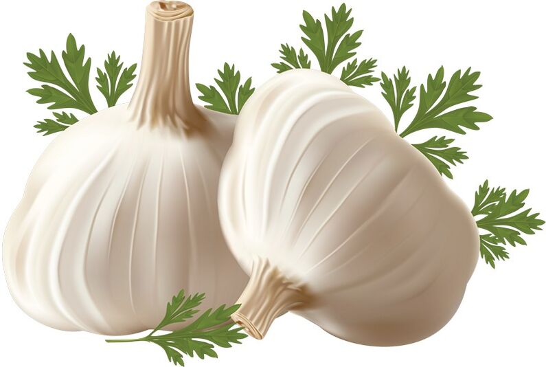 Knoblauch erhöht den Testosteronspiegel im Körper eines Mannes und stellt die Potenz wieder her
